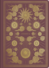 ESV Illuminated Scripture Journal: Joshua  Cover Image