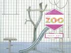 The Zoo By Suzy Lee, Suzy Lee (Illustrator) Cover Image