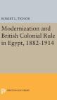Modernization and British Colonial Rule in Egypt, 1882-1914 Cover Image