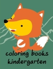 Coloring Books Kindergarten: Coloring Pages with Funny Animals, Adorable and Hilarious Scenes from variety pets and animal images By Harry Blackice Cover Image