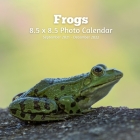 Frogs 8.5 X 8.5 Photo Calendar September 2021 -December 2022: Monthly Calendar with U.S./UK/ Canadian/Christian/Jewish/Muslim Holidays- Nature Amphibi Cover Image