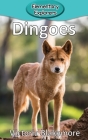 Dingoes (Elementary Explorers #74) By Victoria Blakemore Cover Image