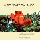 A Delicate Balance: The South Pacific By Maria Di Paolo-Greer Cover Image