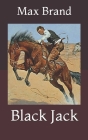 Black Jack By Max Brand Cover Image