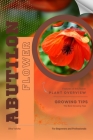 Abutilon: Flower overview and Growing Tips Cover Image