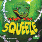 Snakes That Squeeze By Alan Walker Cover Image