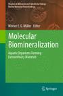 Molecular Biomineralization: Aquatic Organisms Forming Extraordinary Materials By Werner E. G. Müller (Editor) Cover Image