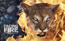 Facing Fire: Art, Wildfire, and the End of Nature in the New West By Douglas McCulloh Cover Image