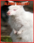 Albino-Wallaby: Tolle Bilder & Wissenswertes über Tiere in der Natur By Laura Musso Cover Image