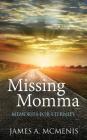 Missing Momma By James A. McMenis Cover Image