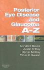 Posterior Eye Disease and Glaucoma A-Z Cover Image