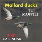 Calendar 2022 Mallard ducks 12 MONTH: Official Ducks Calendar 2022,12 Months Calendar, Wild Animals, Square Calendar 2022 By Calendar 2022 Pub Print Cover Image