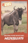 Unbelievable Pictures and Facts About Wildebeests Cover Image