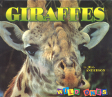 Giraffes (Wild Ones) Cover Image