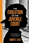 The Evolution of the Juvenile Court: Race, Politics, and the Criminalizing of Juvenile Justice (Youth #4) Cover Image