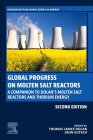 Global Progress on Molten Salt Reactors: A Companion to Dolan's Molten Salt Reactors and Thorium Energy By Thomas James Dolan (Editor), John Kutsch (Editor) Cover Image
