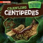 Crawling Centipedes By Theresa Emminizer Cover Image