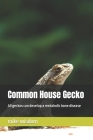 Common House Gecko: All geckos can develop a metabolic bone disease By Mike Wisdom Cover Image