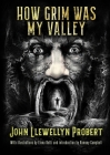 How Grim Was My Valley Cover Image