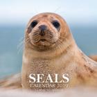 Seals Calendar 2019: 16 Month Calendar By Mason Landon Cover Image