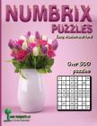Numbrix Puzzles: Easy, Medium and Hard By Aenigmatis Cover Image