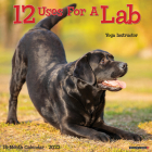 12 Uses for a Lab 2023 Wall Calendar By Willow Creek Press Cover Image