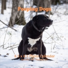 Pooping Dogs 8.5 X 8.5 Calendar September 2020 -December 2021: Monthly Calendar with U.S./UK/ Canadian/Christian/Jewish/Muslim Holidays -Weird Calenda Cover Image