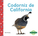 Codorniz de California (California Quails) By Julie Murray Cover Image