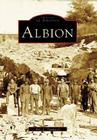 Albion (Images of America) By Avis A. Townsend Cover Image