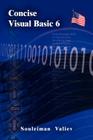Concise Visual Basic 6.0 Course: Visual Basic for Beginners By Souleiman Valiev Cover Image