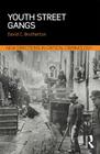 Youth Street Gangs: A Critical Appraisal (New Directions in Critical Criminology) By David Brotherton Cover Image