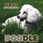Poodle 2021 Mini Wall Calendar Cover Image