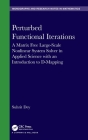 Perturbed Functional Iterations: A Matrix Free Large-Scale Nonlinear System Solver in Applied Science with an Introduction to D-Mapping (Chapman & Hall/CRC Monographs and Research Notes in Mathemat) Cover Image