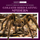 Goliath Bird-Eating Spiders By Roxanne Aldolpho Cover Image
