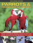 Exploring Nature: Parrots & Rainforest Birds: Macaws, Hummingbirds, Flamingos, Toucans and Other Exotic Species, All Shown in More Than 180 Pictures By Tom Jackson Cover Image