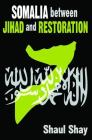Somalia Between Jihad and Restoration By Shaul Shay Cover Image