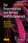 Die Regeneration Von Nerven Und Rückenmark: Was Wir Über Mechanismen Und Therapeutische Ansätze Wissen Cover Image