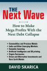 The Next Wave: How to Make Mega Profits with the Next Debt Collapse Cover Image