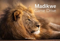 Madikwe Game Drive By Ingrid And Philip Van Den Berg Cover Image