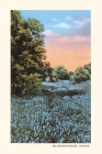 Vintage Journal Field of Bluebonnets, Texas By Found Image Press (Producer) Cover Image