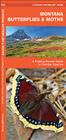 Montana Butterflies & Moths: A Folding Pocket Guide to Familiar Species (Pocket Naturalist Guides) By James Kavanagh, Waterford Press Cover Image