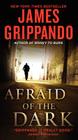 Afraid of the Dark (Jack Swyteck Novel #9) Cover Image