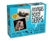 Animals Being Derps 2025 Day-to-Day Calendar By Beverly L. Jenkins Cover Image