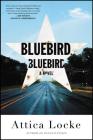 Bluebird, Bluebird (A Highway 59 Novel #1) Cover Image