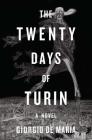 The Twenty Days of Turin: A Novel By Giorgio De Maria, Ramon Glazov (Translated by) Cover Image