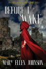 Before I Wake (Travels Across Time) By Mary Ellen Johnson Cover Image