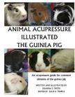 Animal Acupressure Illustration The Guinea Pig By Deanna S. Smith (Illustrator), Julie D. Temple (Editor), Deanna S. Smith Cover Image