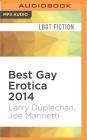 Best Gay Erotica 2014 By Larry Duplechan, Joe Mannetti, Kyle St James (Read by) Cover Image