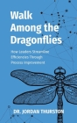 Walk Among the Dragonflies: How Leaders Streamline Efficiencies Through Process Improvement By Jordan C. Thurston Cover Image