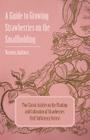 A Guide to Growing Strawberries on the Smallholding - Two Classic Articles on the Planting and Cultivation of Strawberries (Self-Sufficiency Series) By Various Cover Image